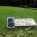 Carolyn Green Photo 21