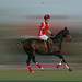 Daniel Aiken Photo 30