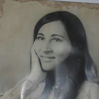Nancy Franck Photo 4