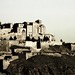 Mark Cardona Photo 32