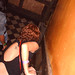 Rene Webster Photo 14