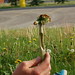 Raymond Sweet Photo 4
