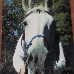 Nicole Keen Photo 5