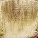 Caroline Brown Photo 22