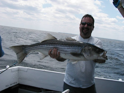 Mark Agee Photo 38