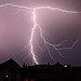 Adam Licht Photo 5