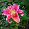 Donna Myers Photo 29