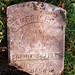 M Reed Photo 9