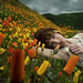 Amy Field Photo 17