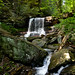 Brian Ricketts Photo 31