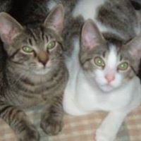 Mary Staab Photo 23