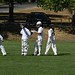 Victoria Coulter Photo 17