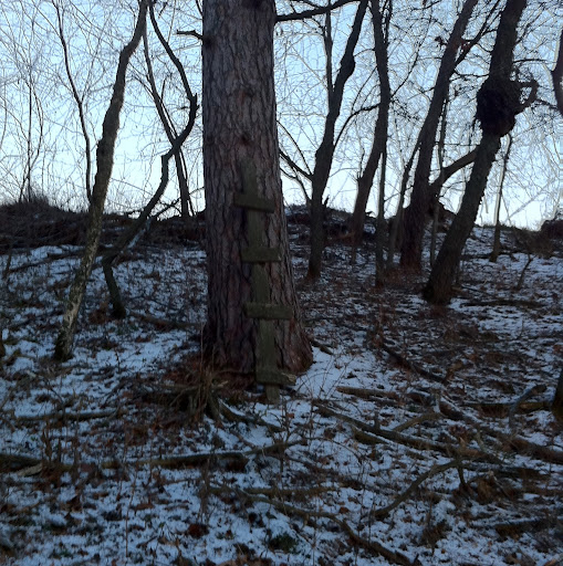 Richard Werner Photo 38