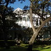 Mary Faulk Photo 17