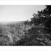 Van Du Photo 2