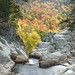 Glen Ellis Photo 11