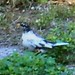 Robin Whited Photo 15