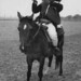 Ned Harding Photo 5