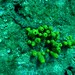Frank Schroth Photo 7