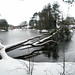 Heather Peck Photo 19