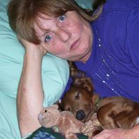 Pat Collier Photo 32
