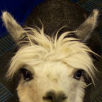 Linda Engle Photo 7