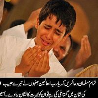 Ali Mohammad Photo 37
