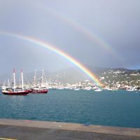 Ellen Lester Photo 23