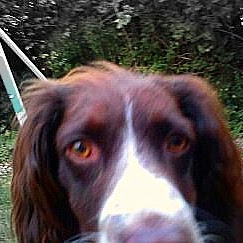 Jack Henley Photo 4