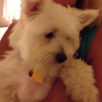 Debbie Farr Photo 10