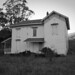 Randall Wire Photo 7