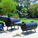 Van Ho Photo 11