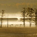 Terra Reed Photo 18