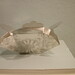 Susan Myers Photo 49