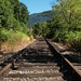 Robert Mcandrews Photo 10