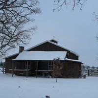 Nancy Chapin Photo 29