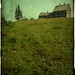 Andrew Olsen Photo 35