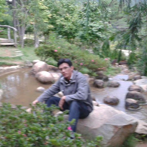Phuc Trinh Photo 30