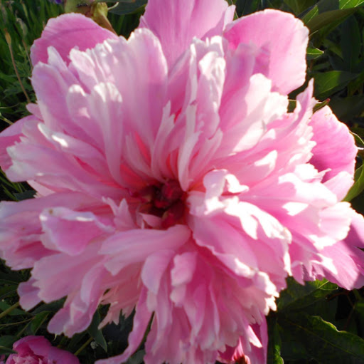 Barbara Baxter Photo 32