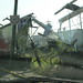 Armando Silva Photo 21