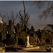 Joseph Batt Photo 14
