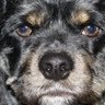 Connie Hendricks Photo 27