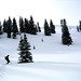Gary Pace Photo 27