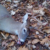 Jeremy Mccrary Photo 13