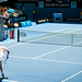 Robin Haase Photo 7