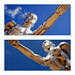 David Tenney Photo 10