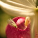 Denise Dill Photo 16
