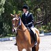 Corrine Wilson Photo 19