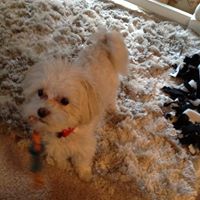 Sandra Oneal Photo 15