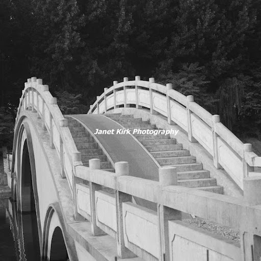 Janet Kirk Photo 26
